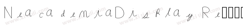 NeacademiaDisplay Re字体转换